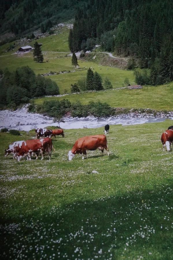 Apartamento Krandlhof Zell am Ziller Exterior foto